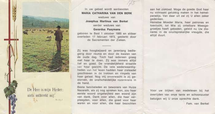Scan