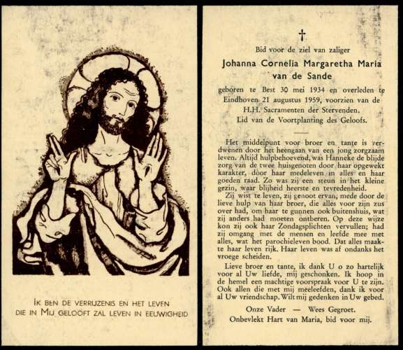 Scan