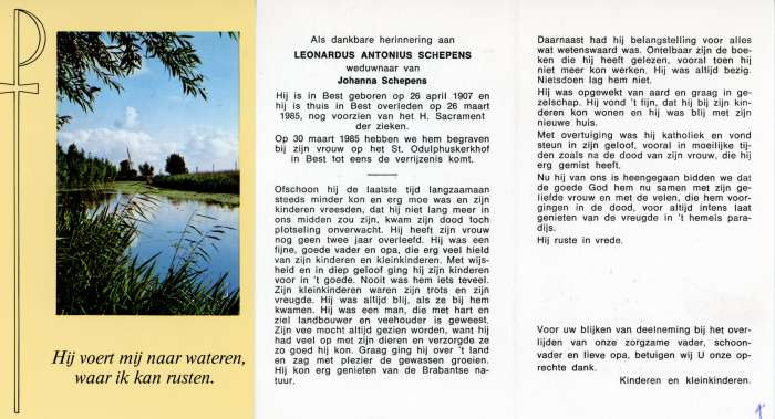 Scan