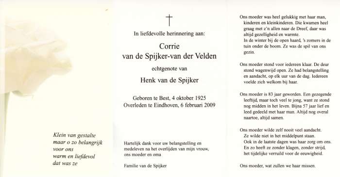 Scan