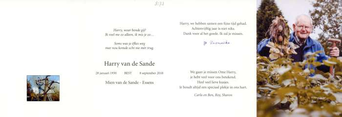 Scan