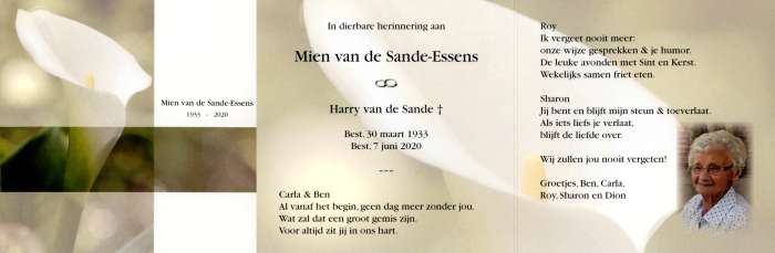 Scan
