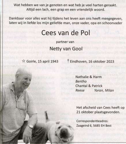 Scan