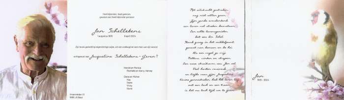 Scan